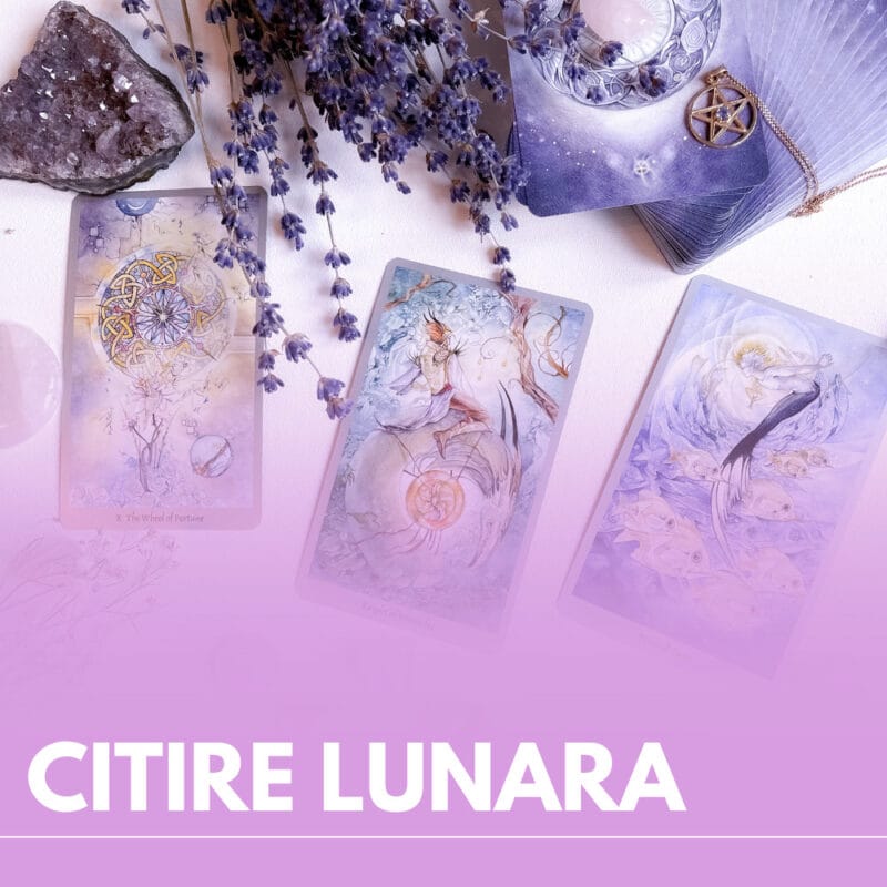 Etalare - Citire lunara